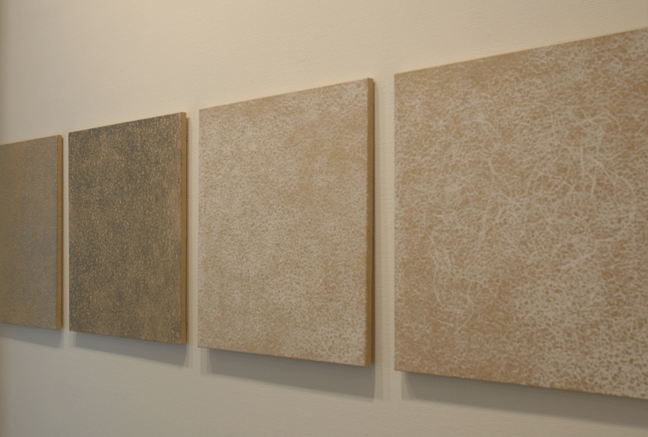 Les quatre versions d’Asarakusuri exposées au Centre d’art Bouvet-Ladubay Saint-Hilaire Saint-Florent, Saumur Juillet-Octobre 2005.